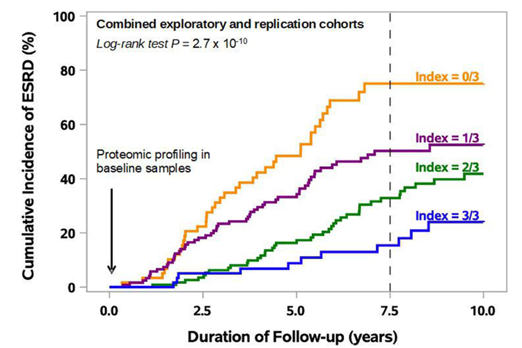 The cumulative incidence of End Stage Renal Disease
